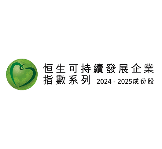 恒生可持續發展企業指數（2020-2021）