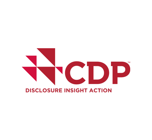 CDP 2020