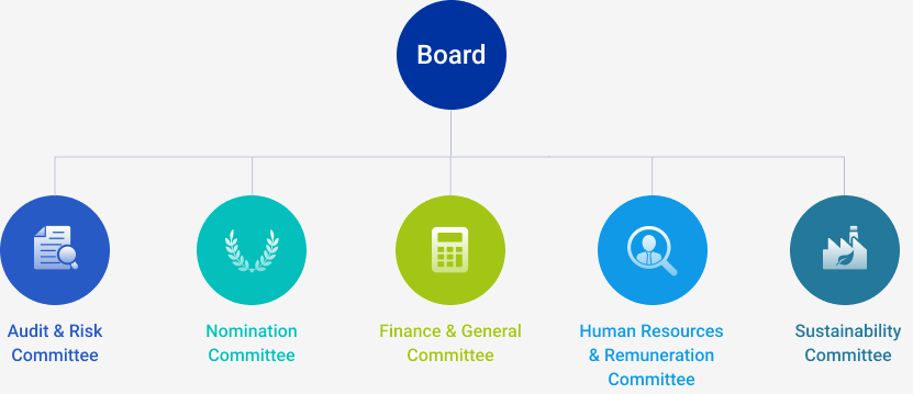 Board Committees