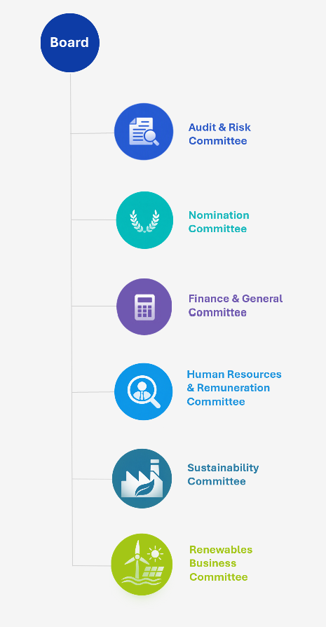Board Committees