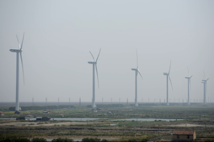 Chongming Wind Farm