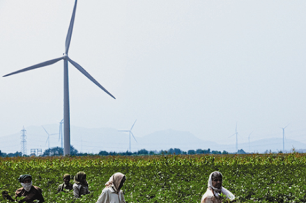 Theni II Wind Farm