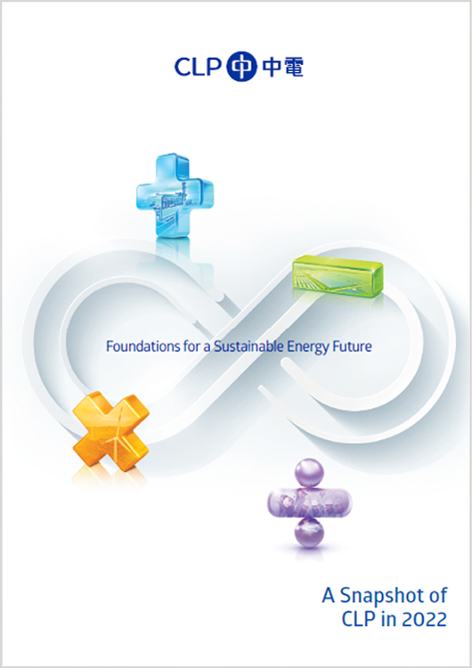 A Snapshot of CLP in 2022